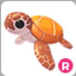 Sea Turtle R