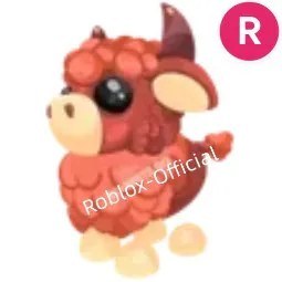 Angus Bull R