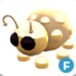 Golden Ladybug F