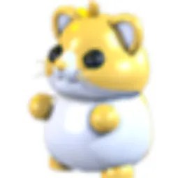 Golden Hamster