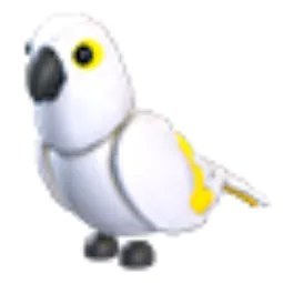 White Amazon
