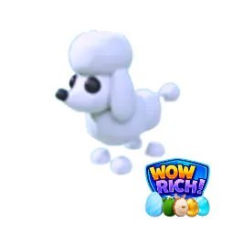 Poodle