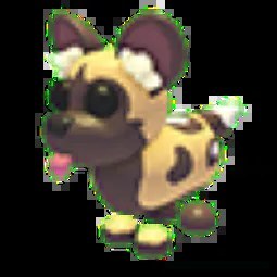 R African Wild Dog