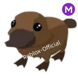 M Platypus