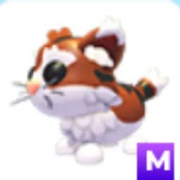 M Munchkin Cat