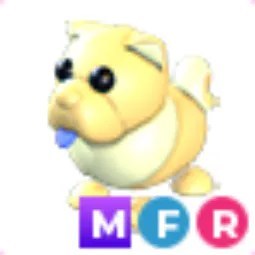 MFR Golden Chow