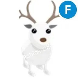 Arctic Reindeer F