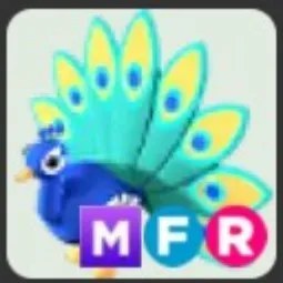 MFR Peacock