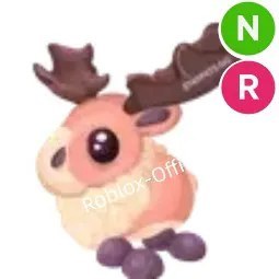 Papa Moose NR