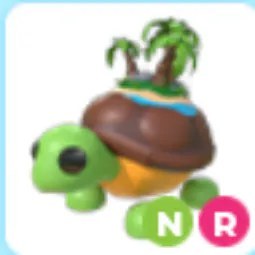 NR Tortuga De La Isla