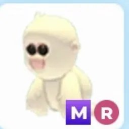 MR Snow Monkey Adm