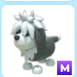 M English Sheepdog