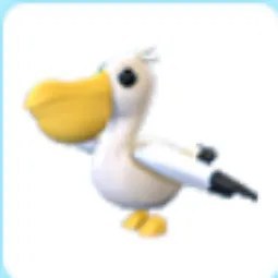 Pelican
