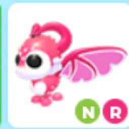 Cupid Dragon NR