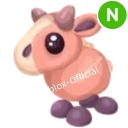 Moose Calf N