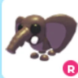 R Bush Elephant