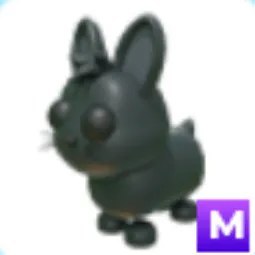 M Amami Rabbit