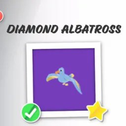 Diamond Albatross
