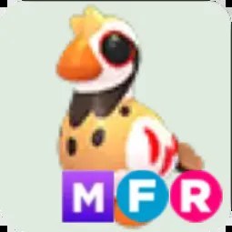 Partridge MFR