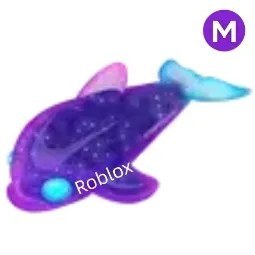 Glormy Dolphin M