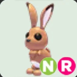 Adm NR Hare
