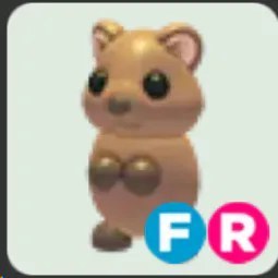 Quokka FR