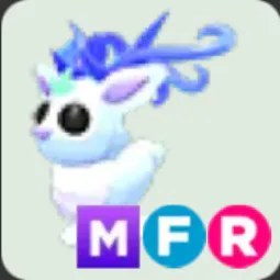 Winter Doe MFR