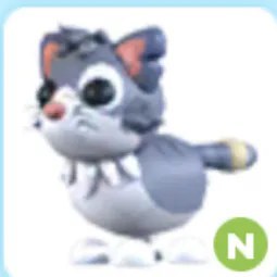 N Alley Cat Adm