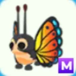 M Mirai Moth