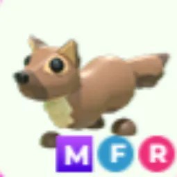 MFR Pine Marten
