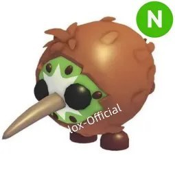 Kiwi N