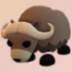 MFR Musk Ox