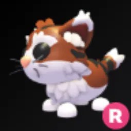 R Munchkin Cat