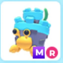 MR Castle Hermit Crab