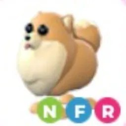 Pomeranian NFR