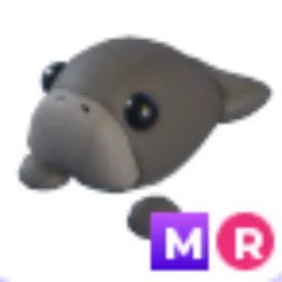 MR Dugong