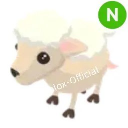 Lamb N