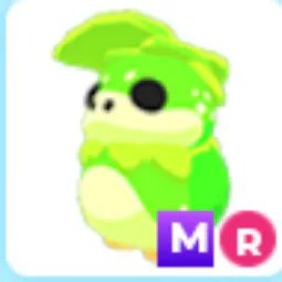 MR Kappakid
