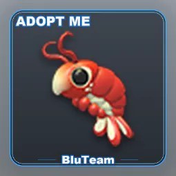 M Emperor Shrimp