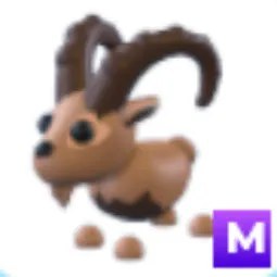 M Ibex