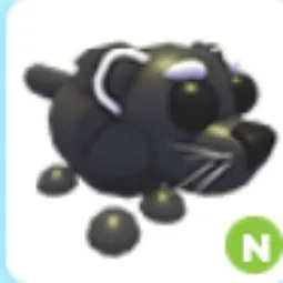 N Binturong