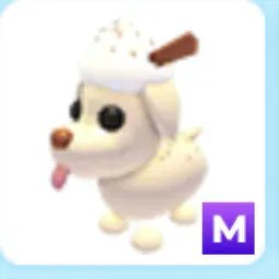 M Eggnog Dog Adm