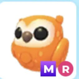 MR Clementine Owl Adm