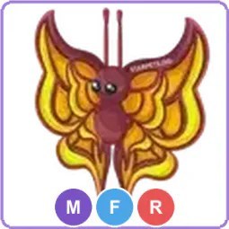 MFR Amber Butterfly