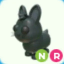 NR Amami Rabbit