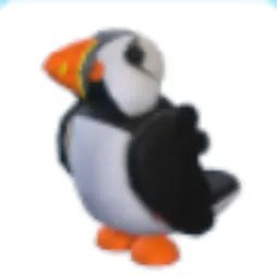 Puffin
