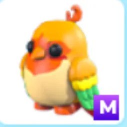 M Love Bird