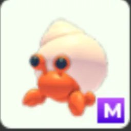 M Hermit Crab Mega Neon