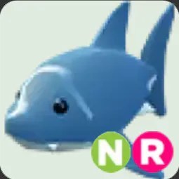 Adm NR Shark