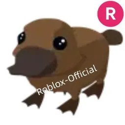 R Platypus